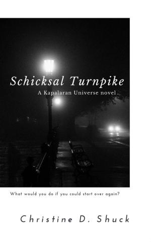 Cover of the book Schicksal Turnpike by Amy Rachiele