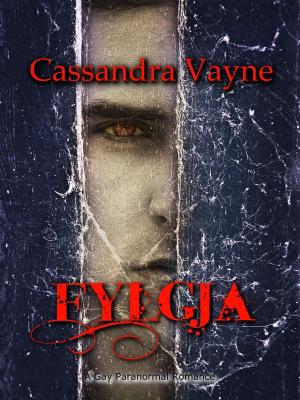 Cover of the book Fylgja by Denyse Bridger