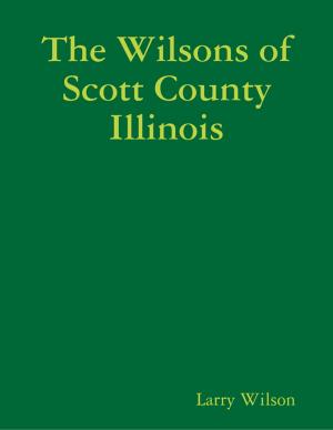 Book cover of The Wilsons of Scott County Illinois