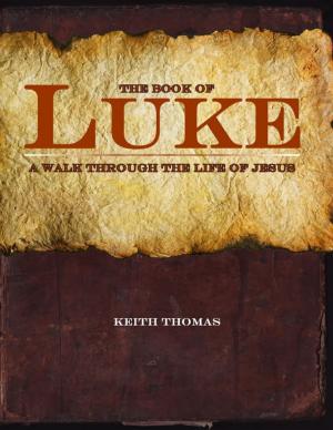 Cover of the book The Book of Luke: A Walk Through the Life of Jesus by Yvonne Worgan