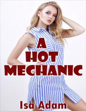 Cover of the book A Hot Mechanic by Givon Wayne