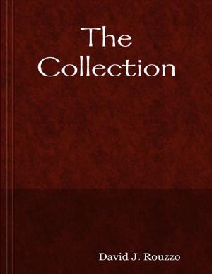 Cover of the book The Collection by Igor Kryan