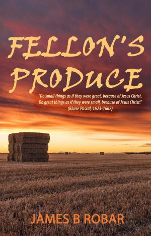 Cover of the book Fellon's Produce by Shyla Colt