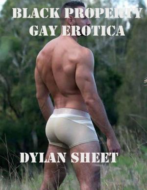 Cover of the book Black Property: Gay Erotica by Virinia Downham