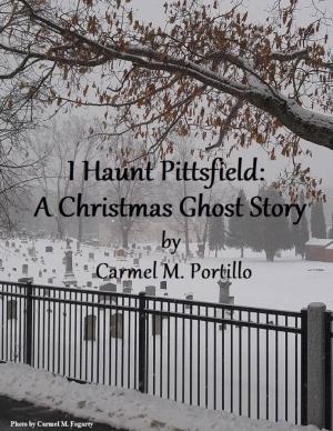 Book cover of I Haunt Pittsfield: A Christmas Ghost Story