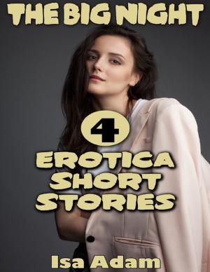Book cover of The Big Night: 4 Erotica Short Stories