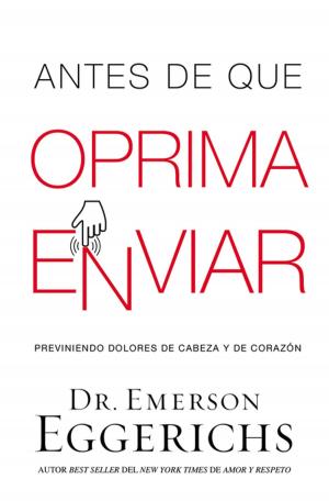 Cover of the book Antes de que oprima enviar by David Hormachea