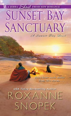 Cover of the book Sunset Bay Sanctuary by Janelle Taylor