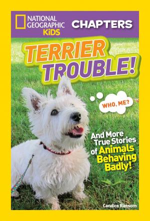 Book cover of National Geographic Kids Chapters: Terrier Trouble!