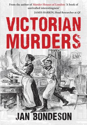 Cover of the book Victorian Murders by Anthony J. Moor