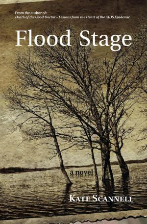 bigCover of the book Flood Stage -- A Novel by 