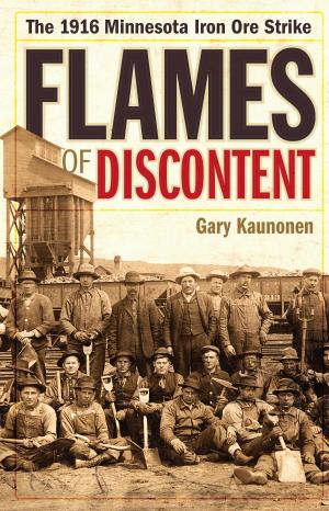 Cover of the book Flames of Discontent by Bobby Benedicto