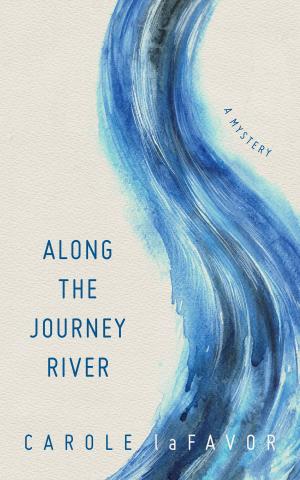 Cover of the book Along the Journey River by John Tagg