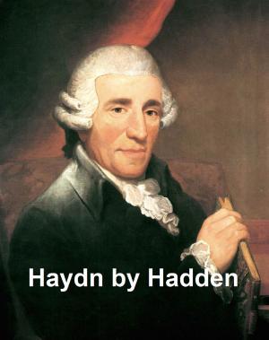 Cover of the book Haydn by Benjamin of Tudela