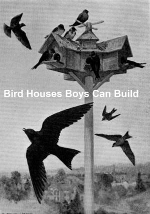 Cover of the book Bird Houses Boys Can Build, Illustrated by Nathaniel Hawthorne