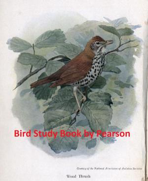 Cover of the book Bird Study Book, Illustrated by Mary Baker Eddy