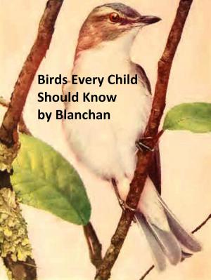 Cover of the book Birds Every Child Should Know, Illustrated by Jonathan Swift