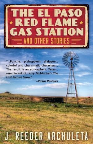 bigCover of the book The El Paso Red Flame Gas Station and Other Stories by 