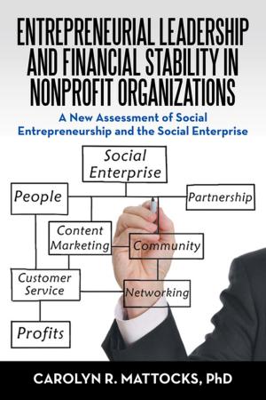 Cover of the book Entrepreneurial Leadership and Financial Stability in Nonprofit Organizations by William Smither