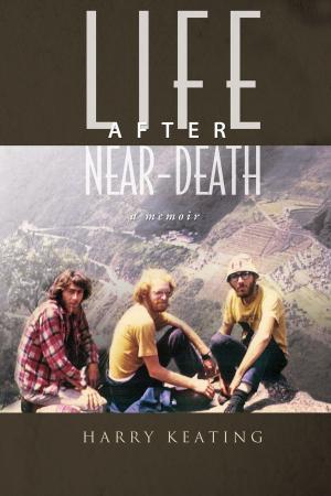 bigCover of the book Life After Near-Death by 