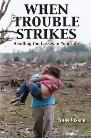 Book cover of When Trouble Strikes