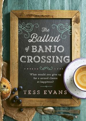 Cover of the book The Ballad of Banjo Crossing by Bruce Beresford