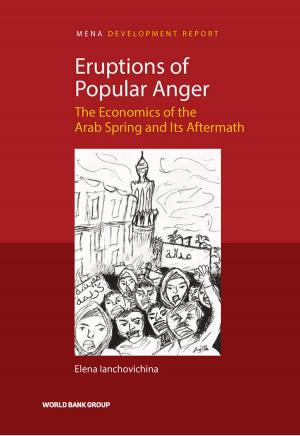 Cover of the book Eruptions of Popular Anger by Mattoo Aaditya ; Payton Lucy
