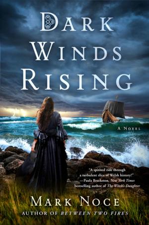 Cover of the book Dark Winds Rising by Joe Devito, Brad Strickland
