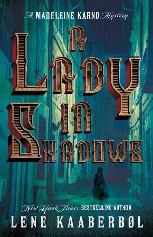 bigCover of the book A Lady in Shadows by 