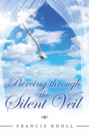 Book cover of Piercing Through the Silent Veil