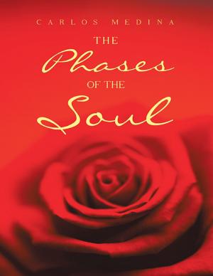 Cover of the book The Phases of the Soul by AshiAkira