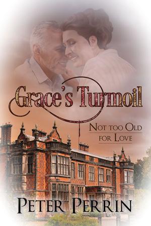 Cover of the book Grace’s Turmoil by Leah Leonard