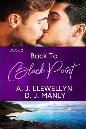 Cover of the book Back to Black Point by Caitlin Ricci