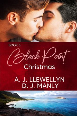 Cover of the book Black Point Christmas by J.S. Frankel