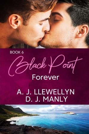 Book cover of Black Point Forever