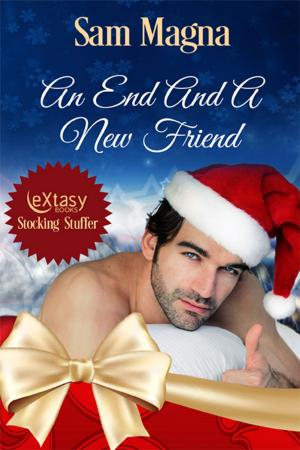 Cover of the book An End And A New Friend by Celine Chatillon