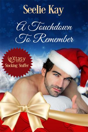 Cover of the book A Touchdown To Remember by Tianna Xander