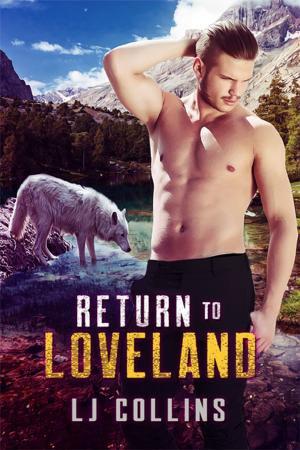Book cover of Return to Loveland