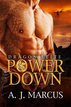 Cover of the book Power Down by Liza Kay