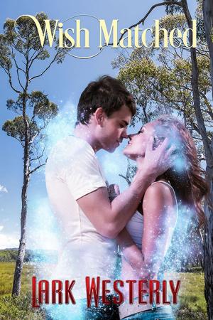 Cover of the book Wish Matched by Melissa Taggart