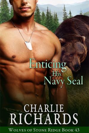 Cover of the book Enticing his Navy Seal by Viola Grace