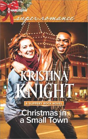 Cover of the book Christmas in a Small Town by Kimberly Lang