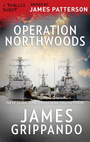 bigCover of the book Operation Northwoods by 