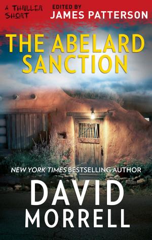 Cover of the book The Abelard Sanction by Metsy Hingle