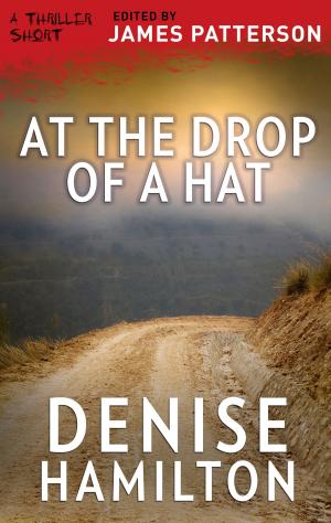 Cover of the book At the Drop of a Hat by J.T. Ellison