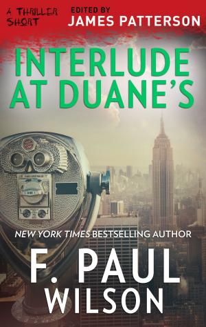 Cover of the book Interlude at Duane's by Heather Graham
