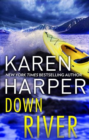 Cover of the book Down River by Robyn Carr, Emilie Richards, Karma Brown, Meg Little Reilly