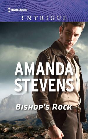 Cover of the book Bishop's Rock by Tina Leonard