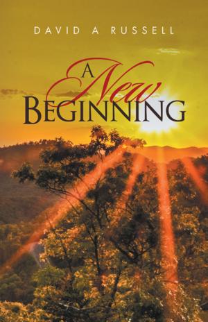 Cover of the book A New Beginning by Kimberly Hartman