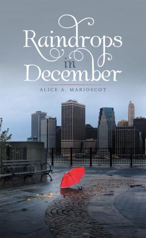Cover of the book Raindrops in December by W.W. Worley